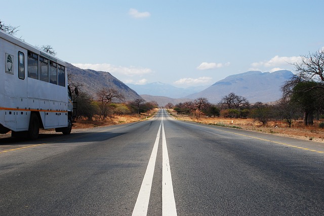 Tanzania Road