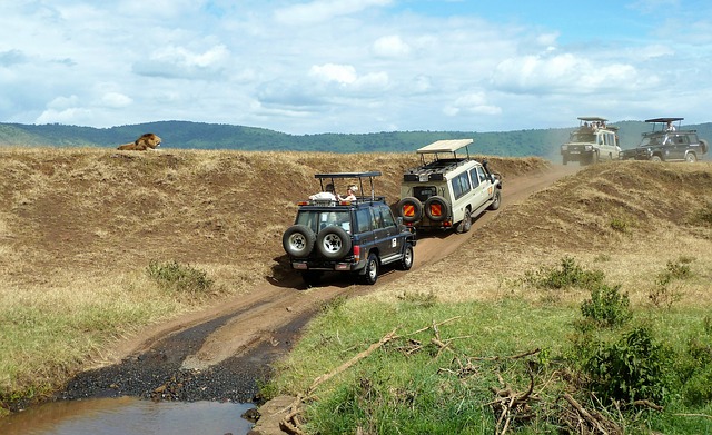 Tanzania Safari